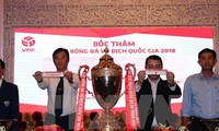 Bốc thăm, xếp lịch thi đấu các giải bóng đá chuyên nghiệp Việt Nam năm 2018