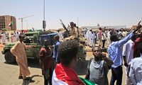 Việt Nam tham gia cuộc họp trực tuyến của HĐBA LHQ về tình hình Darfur (Sudan) 