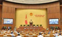 Miễn thuế sử dụng đất nông nghiệp đến 2025: nguồn đầu tư tài chính quan trọng cho khu vực nông nghiệp, nông thôn 