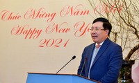 Báo chí đã đóng góp vào thành công của hoạt động đối ngoại năm 2020