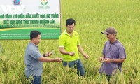 Trà Vinh: nhiều thanh niên khởi nghiệp thành công với nông sản