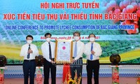 Thương mại điện tử là phương thức kinh doanh mới và hiện đại để tiêu thụ quả vải