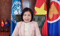 Việt Nam ủng hộ UNCTAD hỗ trợ các nước đang phát triển thúc đẩy phục hồi bền vững