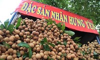 Thương mại điện tử: Kênh tiêu thụ và quảng bá hình ảnh quả nhãn lồng đặc sản Hưng Yên