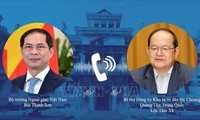 Tăng cường hợp tác hữu nghị giữa các địa phương của Việt Nam với Quảng Tây (Trung Quốc)