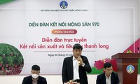 Kết nối sản xuất và tiêu thụ thanh long