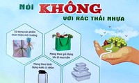 Thúc đẩy giải pháp thay thế sản phẩm nhựa dùng một lần