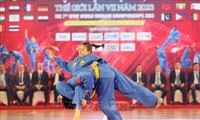 Khai mạc Giải vô địch Vovinam thế giới lần thứ VII