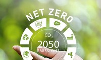 Hiện thực hóa mục tiêu Net Zero vào năm 2050