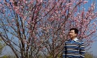 Nhạc sĩ Đặng Hoàng Long: “Tôi phải lòng Điện Biên từ cái nhìn đầu tiên“