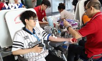 Chủ nhật Đỏ 2026 thu hút đông đảo sinh viên tình nguyện hiến máu
