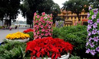 Pemandangan kota Hanoi sebelum Hari Raya Tet 