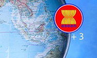 ASEAN + 3 memperkuat kerjasama pertanian tahapan 2015-2019