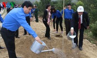 Liga Pemuda Komunis Ho Chi Minh mencanangkan Pesta Penghijauan di zona makam Jenderal Vo Nguyen Giap