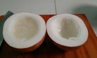 Kelapa kopyor di Vietnam