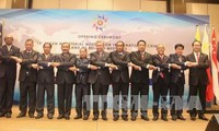 Vietnam menghadiri Konferensi tingkat Menteri negara-negara ASEAN+3 tentang penanggulangan kriminalitas lintas negara