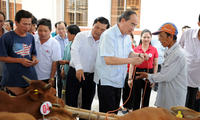 Ketua Pengurus Besar Front Tanah Air Vietnam menghadiri Pesta Persatuan Besar Bangsa di propinsi Tra Vinh