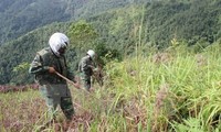 Republik Korea memberikan latihan teknik memeriksa dan menjinakkan bom dan ranjau kepada Vietnam