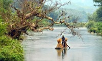 Pameran foto dan lukisan : "Vietnam dalam hati saya"