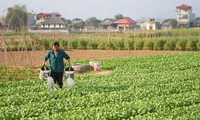 Kecamatan Tuy Loc, kota Yen Bai mencapai patokan pedesaan baru