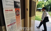 Ada tambah berbagai kasus yang terinfeksi virus Zika di Singapura