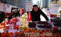 Resmi membuka lini kapal laut untuk mengangkut buah-buahan antara ASEAN dan Tiongkok