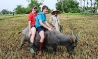 Penjelasan singkat tentang jasa homestay di Vietnam