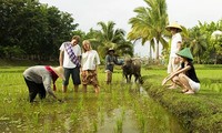 Penjelasan tentang jasa homestay di Vietnam