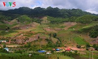 Keindahan daerah dataran tinggi Moc Chau