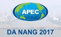  Penyelenggaraan Pekan Film APEC Vietnam 2017