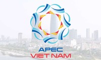 APEC 2017:  Vietnam mengembangkan  peranan  tuan negara  bersama dengan sumbangan aktif