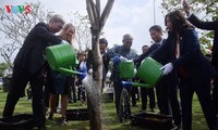 Istimewa-nya Taman patung APEC di Kota Da Nang, Vietnam Tengah