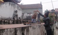 Desa Dich Vi dan adat menyedekahi anjing dari batu