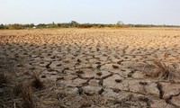  Sarasehan tentang solusi menghadapi bencana kekeringan dan keasinan di kawasan sungai