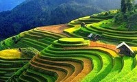 Sawah terasering di Kabupaten Hoang Su Phi- karya adi dari warga etnis-etnis minoritas