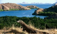 Indonesia dengan sementara menutup pintu Pulau Naga Komodo