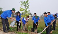 Penjelasan VOV tentang  Hari Raya Tet penghijauan 