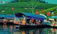 Pulau teh Thanh Chuong menyerap kedatangan wisatawan sehubungan dengan Hari Raya Tet