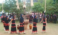 Project to preserve ethnic culture in Central Highlands launched 