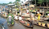 Deputy PM urges for more investment in Mekong delta’s rice production