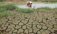 Vietnam joins global efforts to respond to climate change