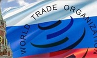 Russian lower house approves Protocol on WTO admission