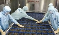 Vietnam opposes US shrimp lawsuit 