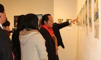 Vietnam-RoK photo exhibition on AO victims