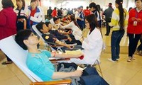 Blood donation festival 2013 