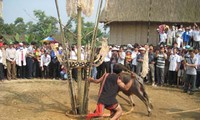 Traditional festivals of the Brau 