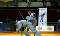 Vietnam finishes first at World Vovinam Champions