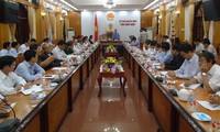 Deputy Prime Minister works with Binh Dinh