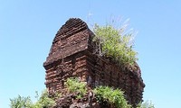 Unique Cham tower in Vietnam