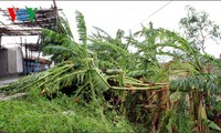 ASEM meeting on climate change opens in Hanoi